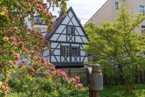 außergewöhnliches, historisches, spätgotisches Wohnhaus von 1519, Gries 5